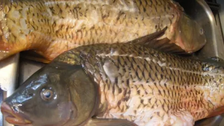 Avertisment de la ANPC! Atenţie la ce cumpăraţi! Nu luaţi peşte şi produse din peşte din locuri neautorizate