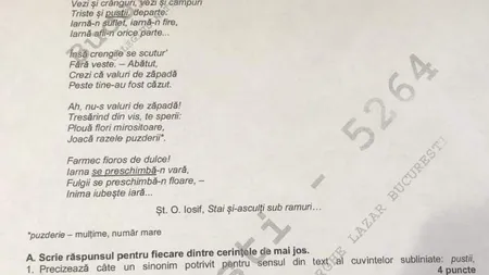 BAREME ROMANA SIMULARE EVALUARE NATIONALA 2019 EDU.RO. Poezia, subiectul care le-a dat de furcă elevilor