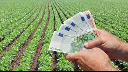 Bani de la stat pentru agricultori. Cum poţi câştiga ajutorul financiar în valoare de 1000 de euro la hectar