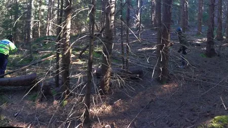 O femeie şi copilul ei de 3 ani, daţi dispăruţi după o plimbare în pădure. UPDATE: Au fost găsiţi
