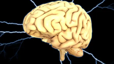 3 modalităţi eficace să-ţi stimulezi creierul