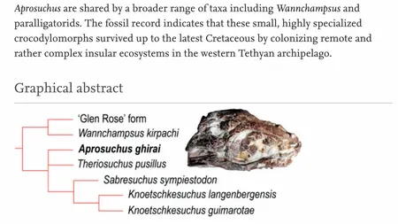 O specie de crocodil pitic a fost descoperită în bazinul Haţeg