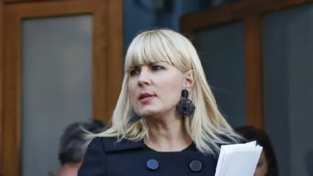 Elena Udrea: Mă bucur pentru achitarea lui Tăriceanu, dar revolta sa împotriva abuzurilor din justiţie este ipocrită