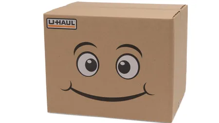 Cadou-surpriză: Vameşii au rămas perplecşi
