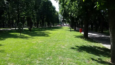 Încep tratamentele pentru combaterea căpuşelor în spaţiile verzi