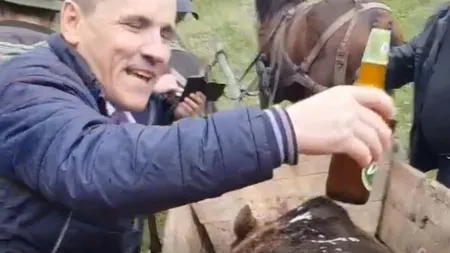 Reacţia primarului care a turnat bere pe cadavrul ursului împuşcat la Buzău