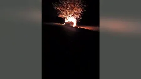 Un şofer a ars de viu, după ce s-a izbit cu maşina de copac. Tragedia a fost transmisă LIVE pe Facebook