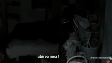 Imagini incendiare la Ferma: 