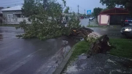 Vremea rea a făcut ravagii în ţară: drumuri blocate, stâlpi căzuţi, oraş fără electricitate