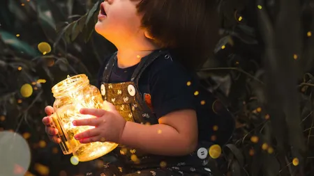 Copiii Diamant. Noul val de copii-minune. Esti pregatit pentru ei?