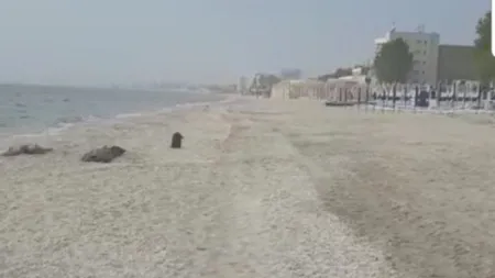 Moarte misterioasă, femeie găsită fără suflare pe plajă, la Mamaia