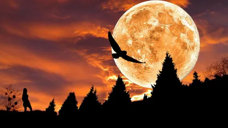 HOROSCOP SPECIAL. Luna plină în Scorpion, 18 MAI 2019. Măştile cad, totul sau nimic în clipa de adevăr!