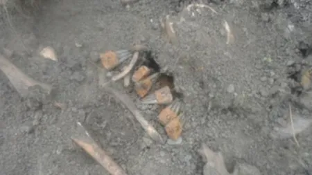Oseminte umane descoperite de muncitori în timpul unor lucrări de reabilitare a unei străzi