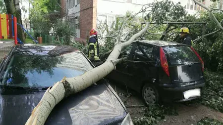 Prăpăd după furtună în mai multe zone din ţară: acoperişuri smulse de vânt, copaci doborâţi