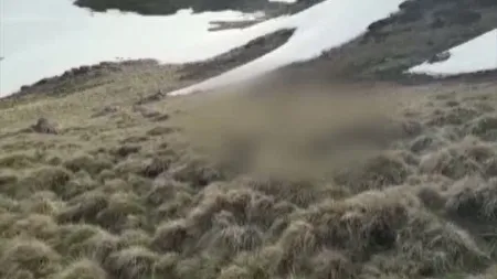 Cadavrul unui bărbat, găsit în Munţii Bucegi