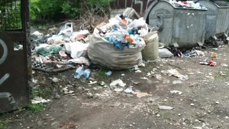 Primăria Timişoara, amendată cu 15.000 de lei de Garda de Mediu pentru mizeria de pe străzi
