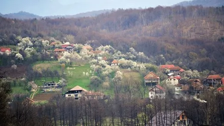 Primar condamnat la închisoare, pentru corupţie. A tăiat o pădure pentru a-şi ridica un cartier de locuinţe