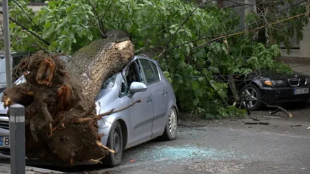 Furtuna a rupt zeci de copaci şi a avariat 21 de maşini în Bucureşti
