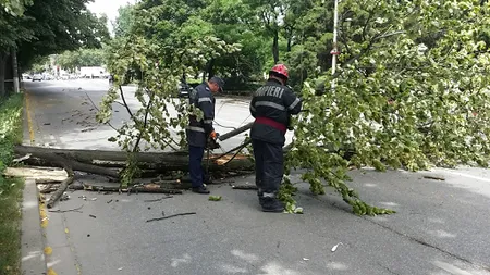 Copaci căzuţi pe carosabil, curţi inundate şi case fără energie electrică, în urma vijeliilor. Bilanţ IGSU