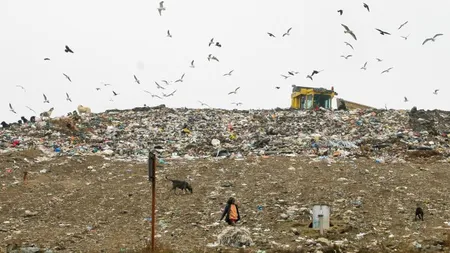 Punct de vedere Asociaţia Europeană pentru Dezvoltare Ecodurabilă