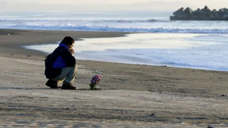 Cutremur urmat de un val tsunami în Japonia. Sunt zeci de răniţi şi case avariate