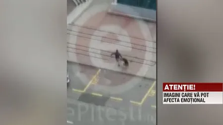 Scene şocante filmate în Piteşti: femeie bătută, târătă pe stradă şi aruncată într-un coş de gunoi