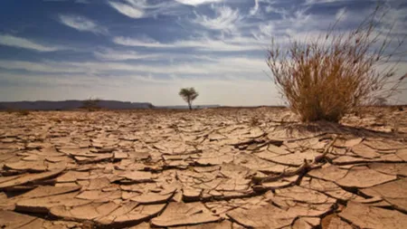 PROGNOZA AGROMETEOROLOGICĂ: Veşti proaste pentru agricultori, seceta afectează culturile
