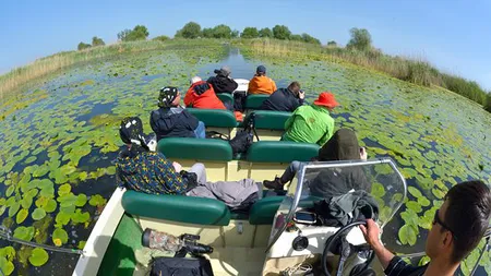 Accident naval în Delta Dunării. Două ambarcaţiuni s-au ciocnit, între răniţi sunt şi turişti străini