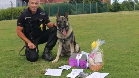 Un câine poliţist înjunghiat în misiune a fost decorat cu Medalia de Aur pentru întreaga lui activitate