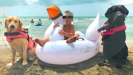 Copilul unor români din Italia, salvat de la înec de doi câini