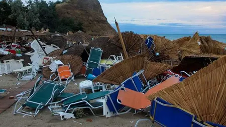 Imaginea zilei după potopul din Halkidiki. Ce a ajuns în vârful unui copac după furtuna din Grecia FOTO