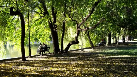 Reabilitarea peisagistică a parcului istoric Grădina Cişmigiu, aprobată de CGMB