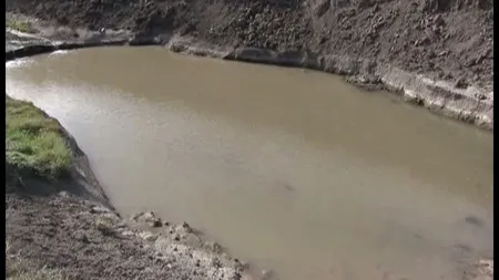 Doi adolescenţi din Vaslui au devenit eroi după ce au salvat doi fraţi de la înec