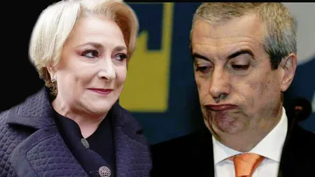 Viorica Dăncilă, atac dur la adresa lui Tăriceanu: Noi suntem PSD, nu partidul râzgândacilor