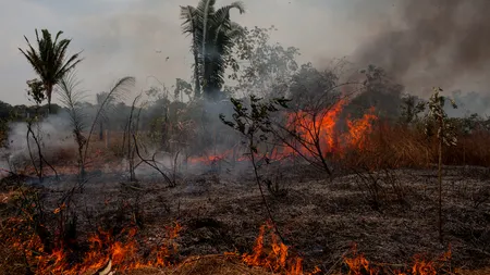 Incendiile din pădurile amazoniene continuă să facă ravagii