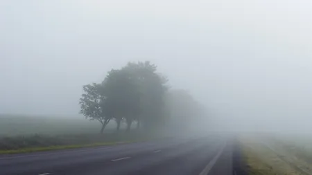 ANM a emis o avertizare cod galben de ceaţă în 14 judeţe din Transilvania şi Moldova