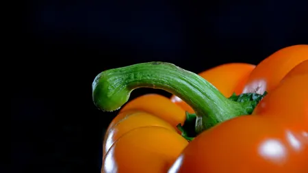 11 lucruri pe care orice tanar ar trebui sa le stie despre erectie