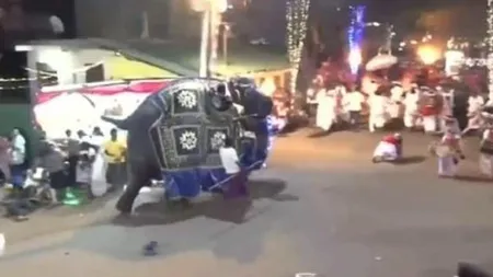 Atacul elefanţilor! Zeci de răniţi după ce două animale au atact mulţimea, în timpul unor serbări religioase VIDEO