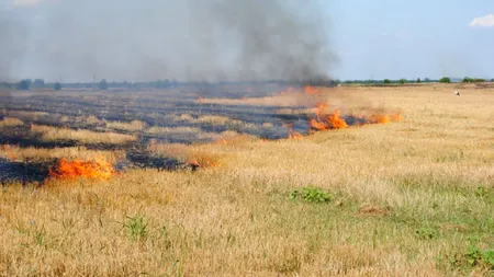 Trafic feroviar întrerupt în Dolj din cauza unui incendiu de mirişte