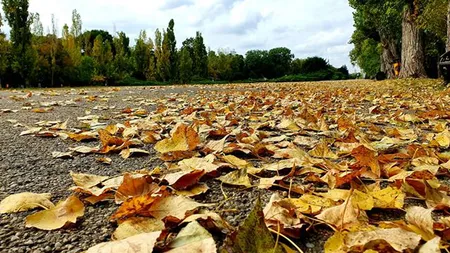 PROGNOZA METEO. Temperaturi de vară la început de octombrie. De joi, vremea se răceşte accentuat şi vin PLOILE