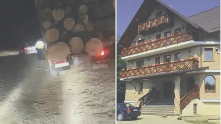 Scandal la Suceava din cauza unui transport de material lemnos. Reacţia ROMSILVA