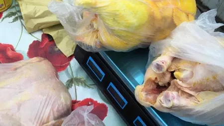 Pui vopsiţi cu galben pentru a fi vânduţi ca pui 