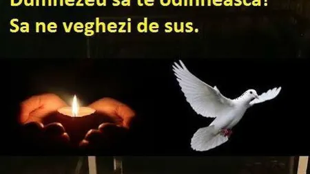 Ştirea tristă a dimineţii face înconjurul lumii. Marea artistă a murit pe patul de spital
