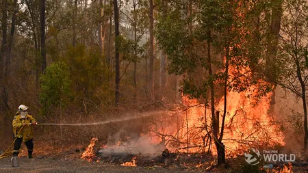 Incendiile din Australia au făcut victime. Cel puţin patru persoane au murit