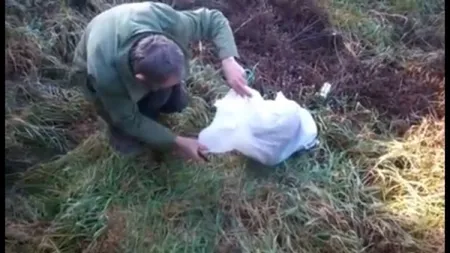 Tânără violată, băgată în sac şi aruncată în pădure. Agresorul a fost reţinut