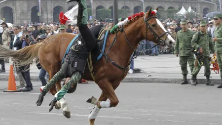 Incident şocant la paradă, sub ochii preşedintelui. Un călăreţ a căzut de pe calul aflat în plin galop VIDEO