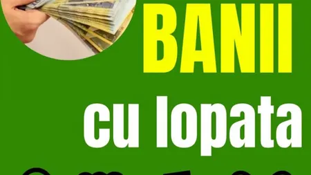 HOROSCOP 2020. 5 zodii întorc banii cu lopata! Este anul lor!