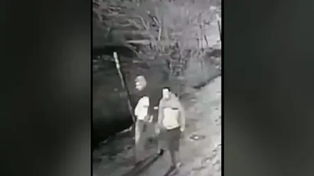 Cârnaţi furaţi dintr-o gospodărie de Crăciun. Primele imagini cu hoţii căutaţi de Poliţie