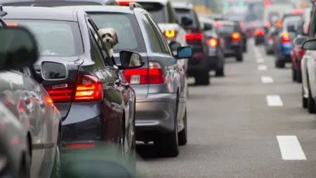 Vinieta OXIGEN. Primăria a montat deja camerele de supraveghere. Amenzi de până la 2.000 de lei pentru cei care nu respectă legea