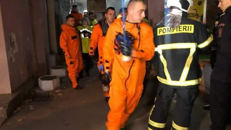 Patronul firmei de deratizare din Timişoara, eliberat din arest preventiv. Ce măsură au luat magistraţii în cazul său